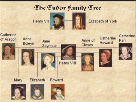 tudor dynasty schema|who ruled the tudor kingdom.